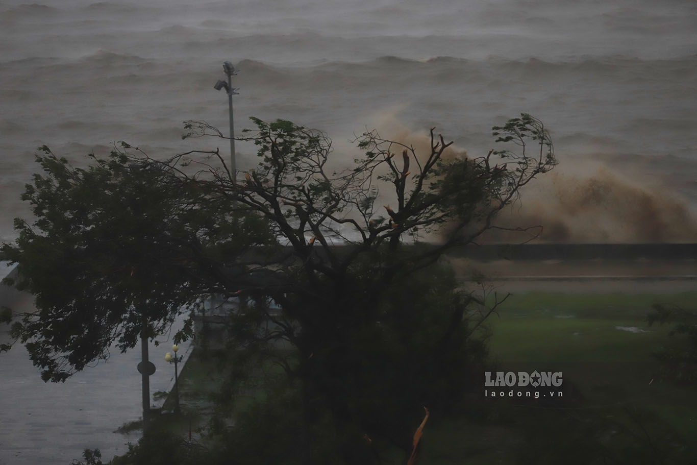 On the afternoon of September 7, storm No. 3 Yagi made landfall directly in Hai Phong with winds gusting to level 12-13. According to local people, this was a rare storm because it lasted for many hours with very strong winds.