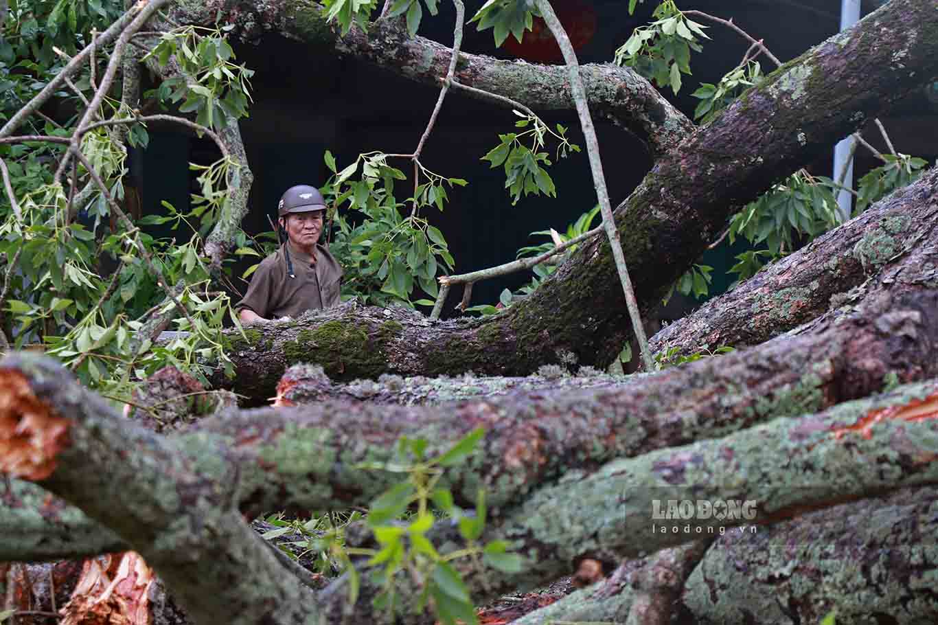 “When the storm came, the electricity went out, the phone had no signal, so we couldn’t contact the outside world. My whole family just stayed inside the house, hoping the storm would pass quickly. I’ve been working here since 1990, and I’ve never seen a storm that lasted as long and had strong winds like this one,” said Nguyen Van Sinh (Do Son District, Hai Phong).