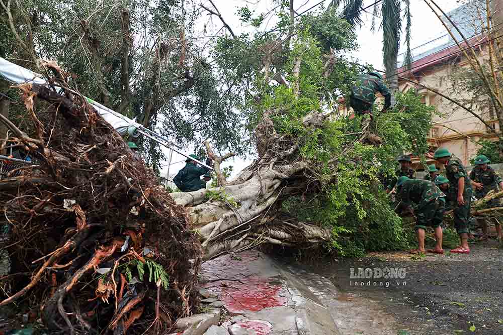 Officers and soldiers of Regiment 50 (Hai Phong City Military Command) carry out support work to overcome damage after the storm.