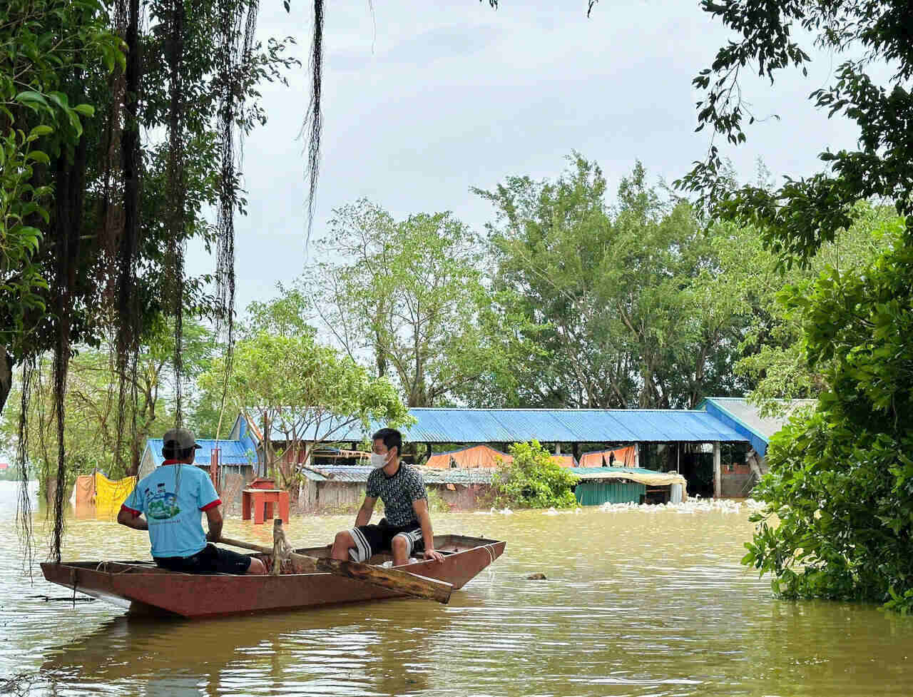 Nhiều người dân tại Cấn Hữu, Quốc Oai đang bơi thuyền ra các khu vực chăn nuôi của gia đình khắc phục hậu quả sau bão số 3 Yagi.