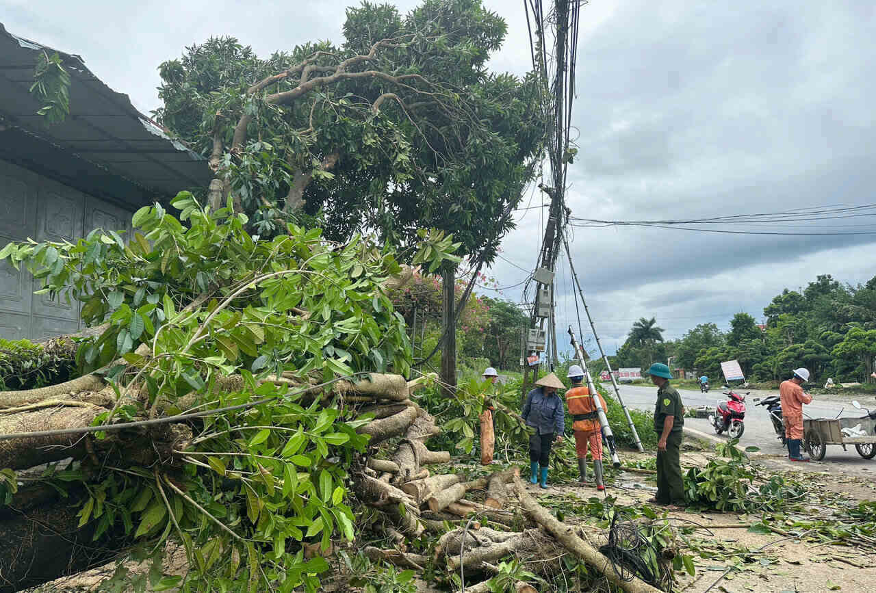 In Long Phu village, Hoa Thach commune (Quoc Oai, Hanoi), from 5 am, the village militia, local people and the electricity company worked together to overcome the consequences of storm Yagi in the area.