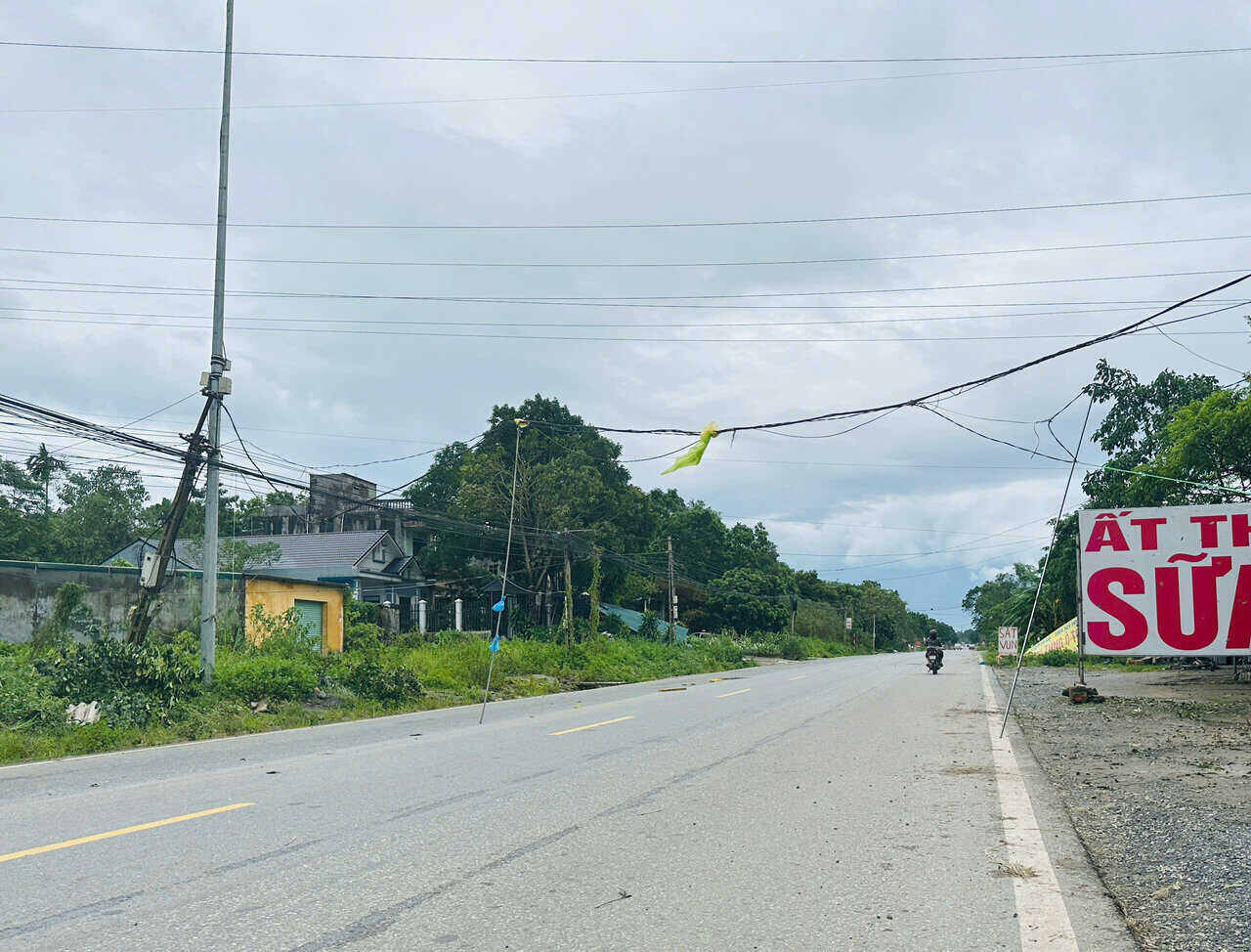 Due to strong winds, many electrical systems were affected. To temporarily fix the problem and avoid accidents on Highway 21A, temporary support poles were erected.