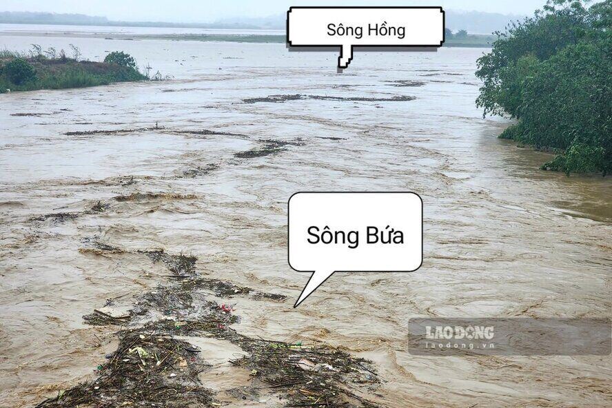 Especially from the Bua River - the river with flood water level above Alert Level 3 carrying a huge amount of water flowing into the Red River at the confluence in Dong Luong Commune, Cam Khe District and Lam Son Commune, Tam Nong District.