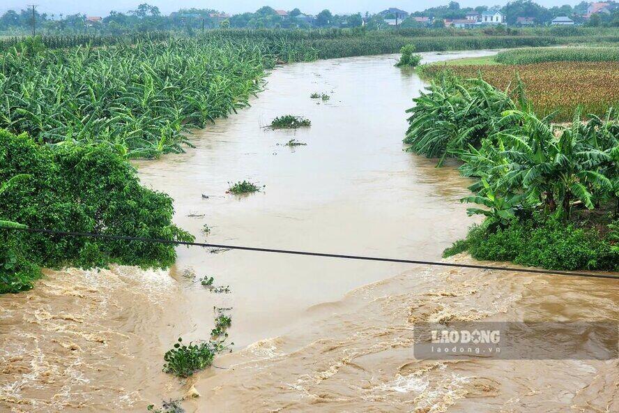 Mưa lớn tại các khu vực trên đã khiến mực nước tại các sông, suối dâng cao. Đến 15h42' chiều 8.9, Trung tâm Dự báo Khí tượng thủy văn Quốc gia đã phát Tin lũ khẩn cấp trên sông Thao (sông Hồng), sông Lục Nam, sông Hoàng Long, tin cảnh báo lũ trên các sông Bắc Bộ và Thanh Hóa.