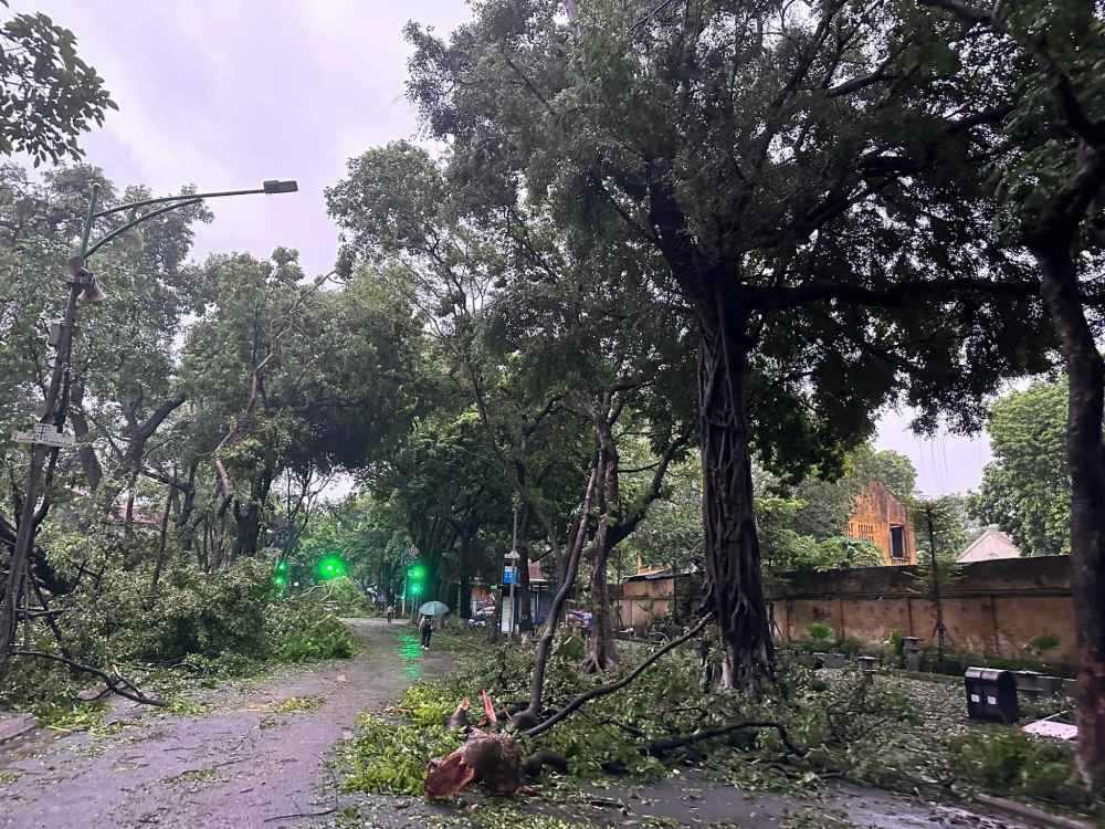 At 6am on September 8, Phan Dinh Phung Street (Ba Dinh, Hanoi) was littered with broken and fallen trees. Photo: Tung Trang