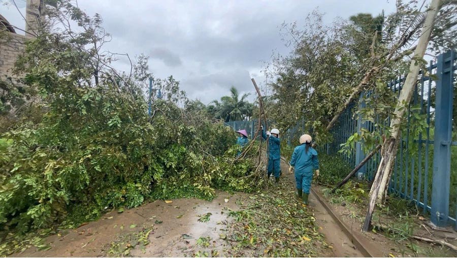 Sun World Ha Long đang khắc phục hậu quả sau bão Yagi. Ảnh: Lan Hương