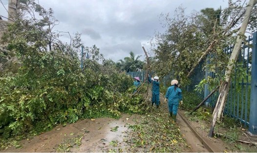 Sun World Ha Long đang khắc phục hậu quả sau bão Yagi. Ảnh: Lan Hương