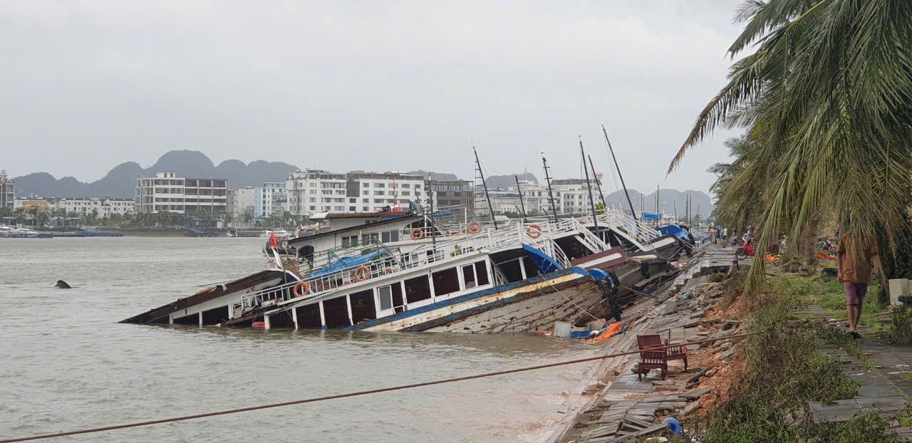 23 ships anchored at Tuan Chau Port were sunk by Typhoon Yagi. Photo: Nguyen Hung