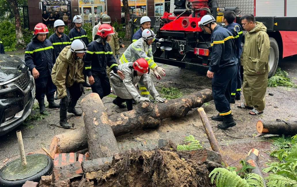 Cây xanh gãy đổ do mưa bão ở Hà Nội. Ảnh: Công an TP Hà Nội