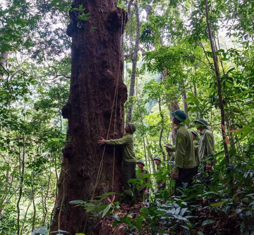 Quang Binh province is allocated 80% of carbon credit funding. Photo: H. Ha