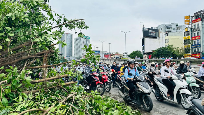 Cành cây gãy đổ chưa được xử lý gây cản trở giao thông ở đường Nguyễn Trãi. Ảnh: Minh Hà