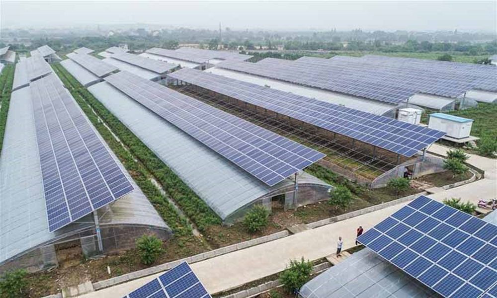 Việc thực hiện các dự án điện mặt trời trên đất nông nghiệp phải được chuyển đổi và cho phép của cơ quan chức năng. Ảnh: Nguyễn Long