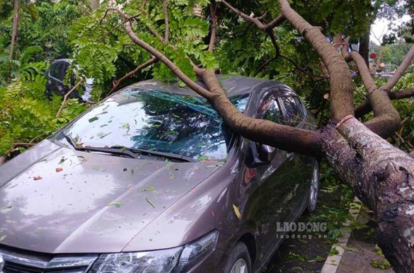 The consequences of storm No. 3 are very severe. Photo: LDO