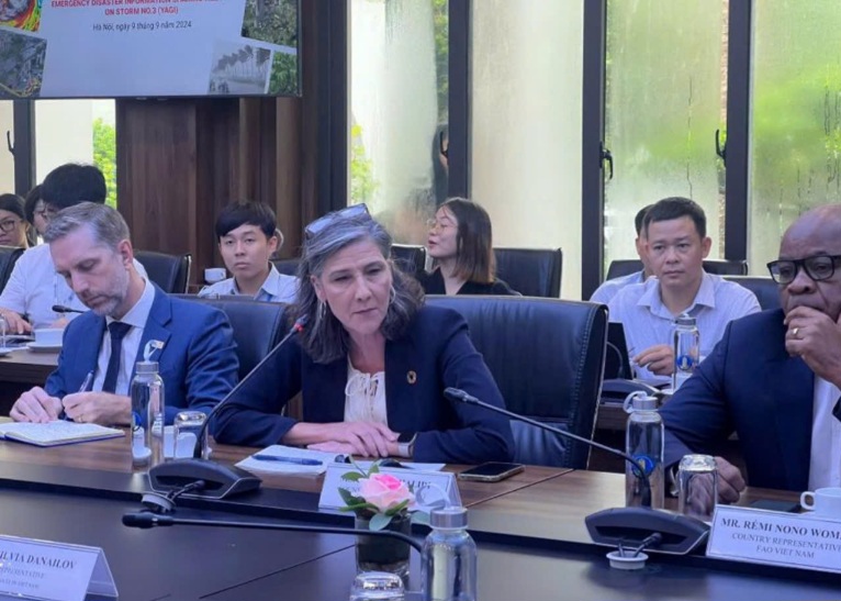 Bà Pauline Tamesis chia sẻ ý kiến sẵn sàng hỗ trợ Việt Nam vượt qua ảnh hưởng của bão số 3. Ảnh: Phan Giang