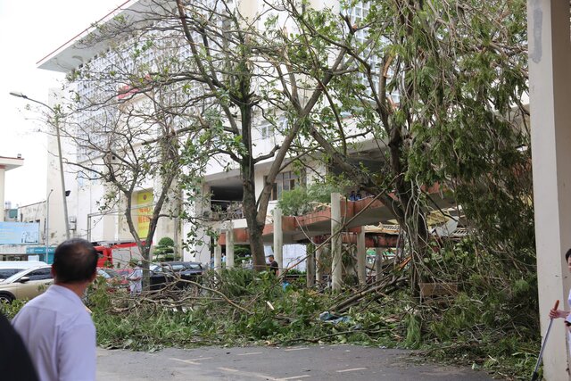 Trees fell in many places,