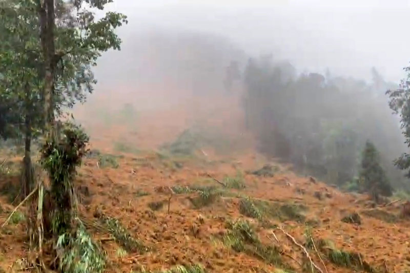 Scene of the landslide that killed 4 people. Photo: Supplied by the unit