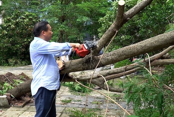 Phụ huynh Trường THPT Chuyên Hà Nội - Amsterdam (Cầu Giấy, Hà Nội) hỗ trợ nhà trường khắc phục sự cố sau bão số 3. Ảnh: Vân Trang