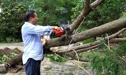 Phụ huynh Trường THPT Chuyên Hà Nội - Amsterdam (Cầu Giấy, Hà Nội) hỗ trợ nhà trường khắc phục sự cố sau bão số 3. Ảnh: Vân Trang