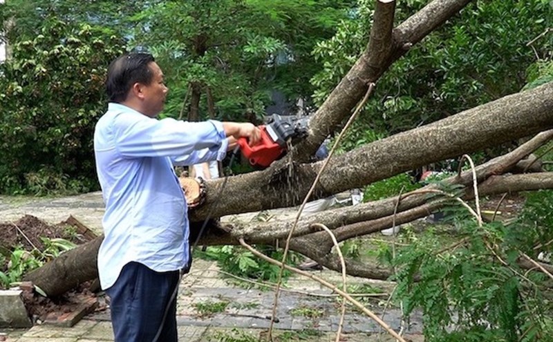Phụ huynh Trường THPT Chuyên Hà Nội - Amsterdam (Cầu Giấy, Hà Nội) hỗ trợ nhà trường khắc phục sự cố sau bão số 3. Ảnh: Vân Trang