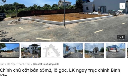 Một lô đất nền ở huyện Thạch Thất (Hà Nội) đang được rao bán trên trang Batdongsan.com.vn. Ảnh: Lan Nhi