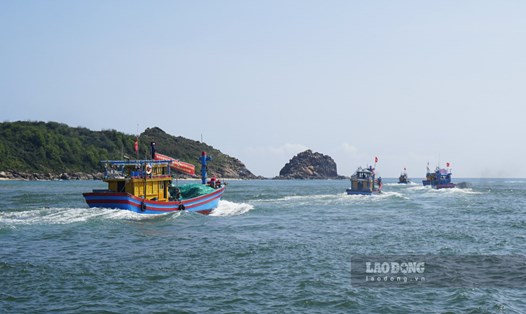 Tàu cá của ngư dân Bình Định ra khơi đánh bắt. Ảnh: Hoài Luân