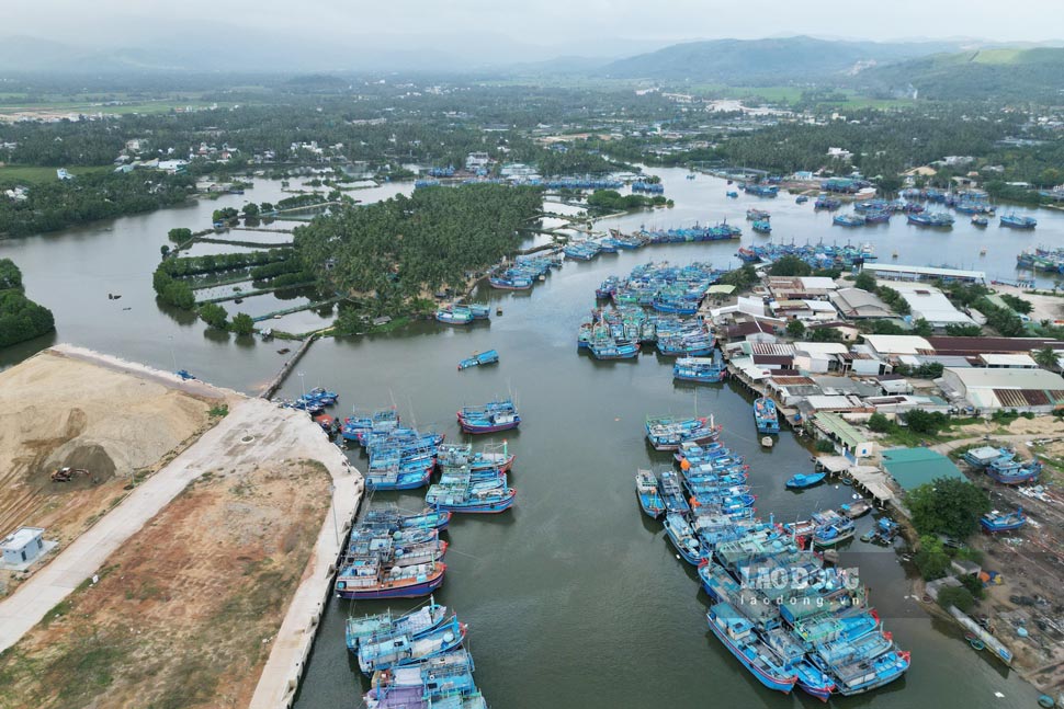 Tam Quan fishing port (Hoai Nhon town, Binh Dinh) - an anchorage for fishing boats inside and outside the province. Photo: Hoai Luan