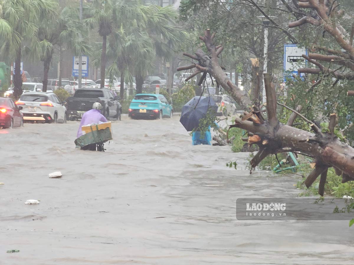 Tại TP Hạ Long, tỉnh Quảng Ninh 1 số tuyến đường bị nước mưa ngập trắng xóa. Ảnh: Đoàn Hưng