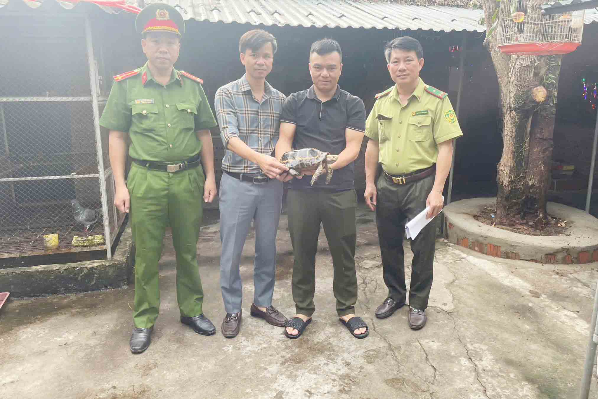 Cán bộ VQG Vũ Quang phối hợp cùng công an tiếp nhận cá thể rùa núi quý hiếm để thả về tự nhiên. Ảnh: Kỳ Tân.