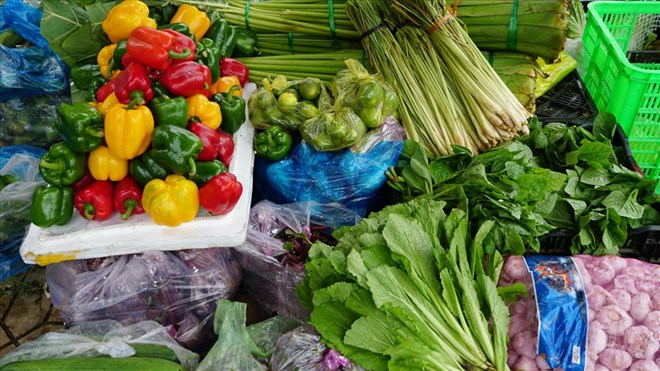 Thời điểm gió mùa khiến độ ẩm tăng cao, nhiệt độ thay đổi sẽ tạo ra môi trường lý tưởng cho vi khuẩn phát triển trong thực phẩm. Ảnh: Tạ Quang