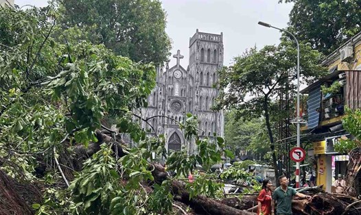 Cây đổ ngổn ngang ở Nhà thờ Lớn, Hà Nội sau bão số 3. Ảnh: Khánh Minh