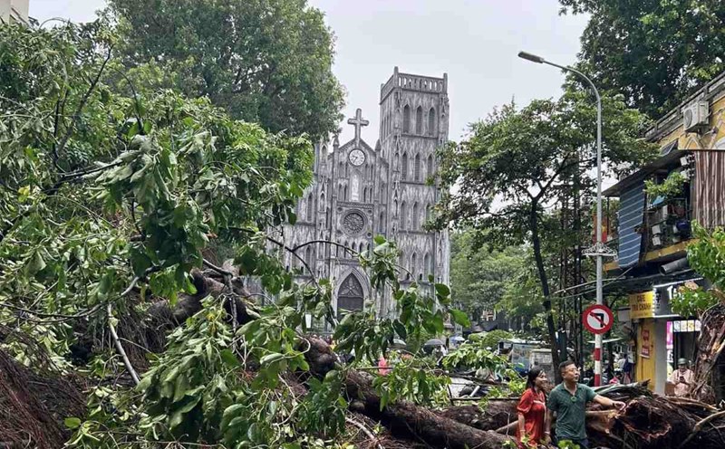 Cây đổ ngổn ngang ở Nhà thờ Lớn, Hà Nội sau bão số 3. Ảnh: Khánh Minh