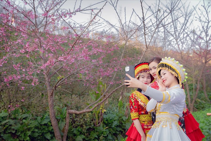 Khach Viet du xuan dip Tet Am lich 2023. Anh: Ha