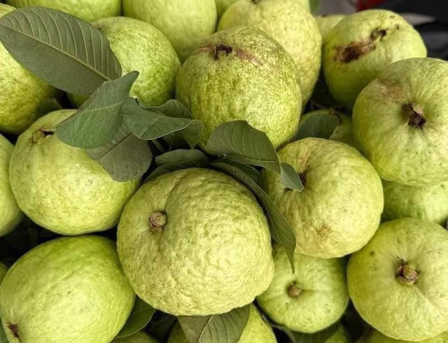 This is a fruit that helps supplement collagen. Photo: Kieu Vu