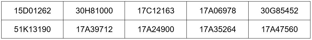 Danh sach phuong tien vi pham loi khong chap hanh hieu lenh cua den tin hieu giao thong tu ngay 11 - 17.12 tai tinh Thai Binh.