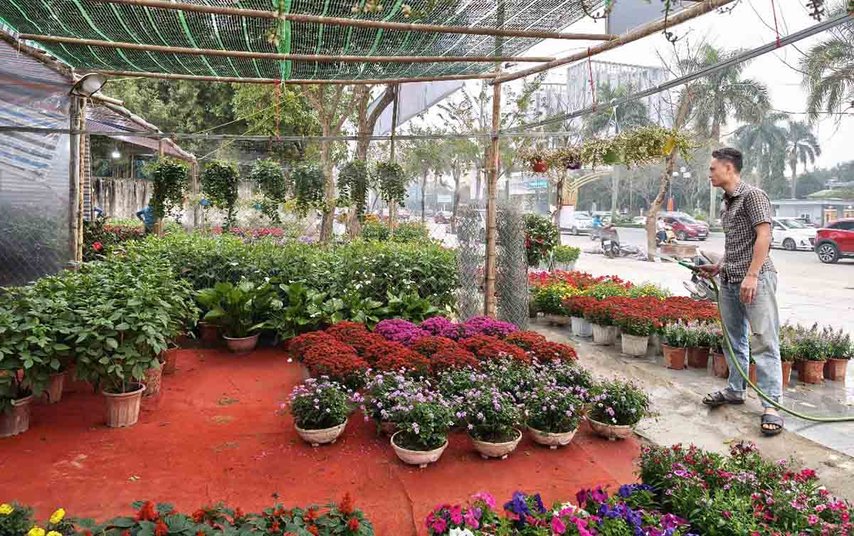 Flower and ornamental plant shops serving the Lunar New Year have appeared in Vinh City. Photo: Quang Dai