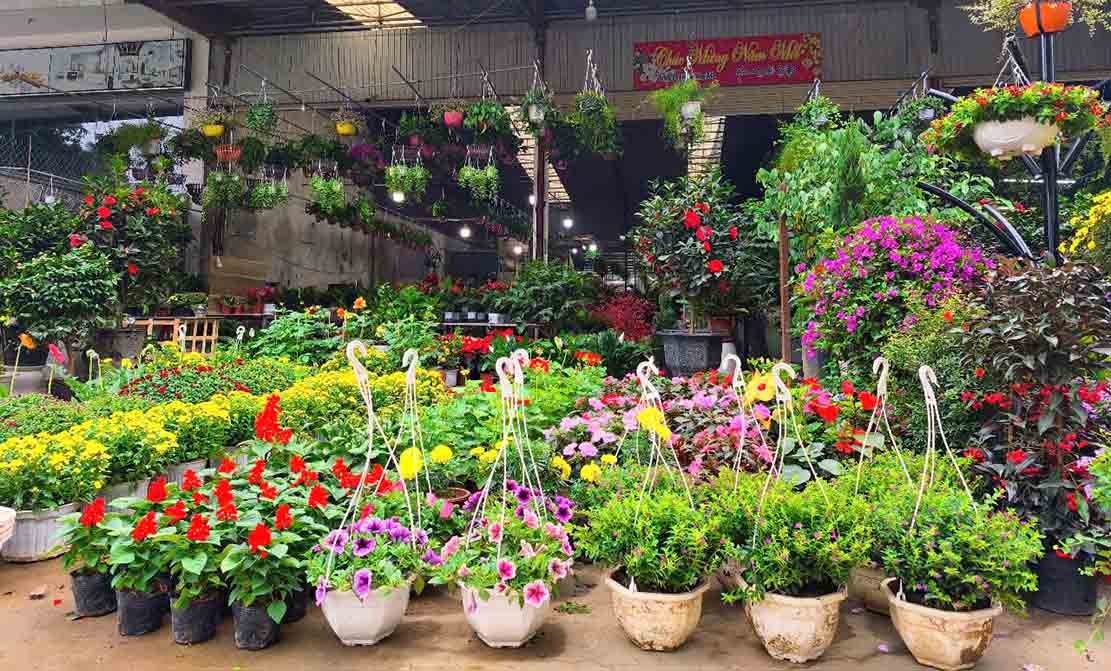 Hoa Tet da dem lai khong khi Xuan cho thanh pho Vinh. Anh: Quang Dai