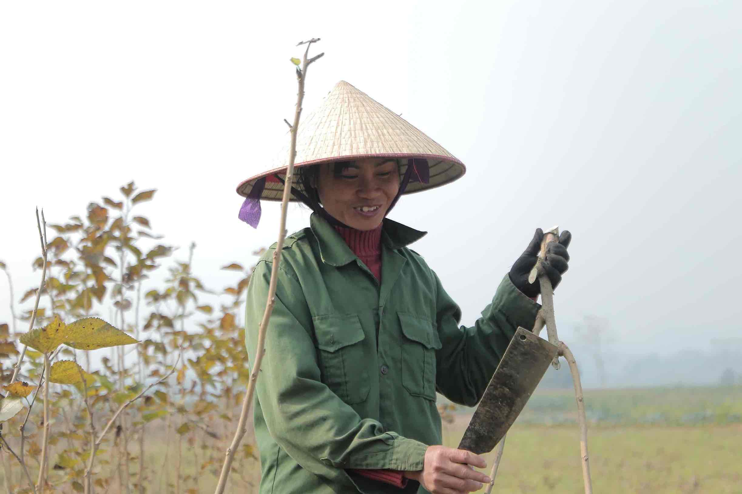 Chi Nguyen Thi Mo day tu 4h sang chat het nhung cay kho heo. Anh: Tran Bui