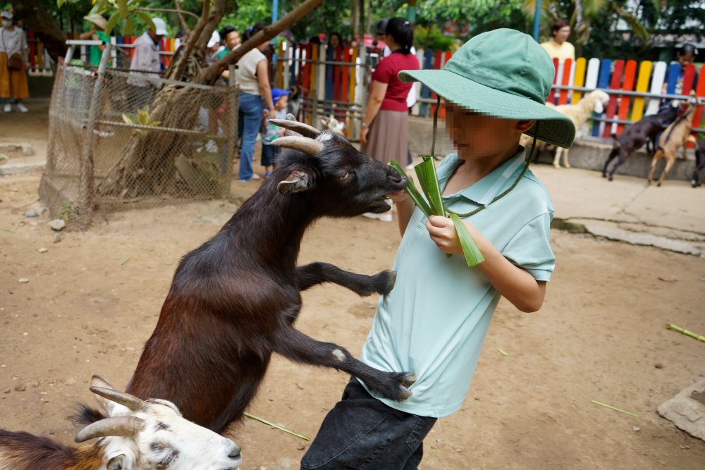 Nhieu em be thich thu khi lan dau tien duoc trai nghiem cho dong vat an. 