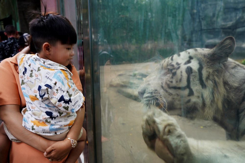  Hau het cac ong bo, ba me nhan dip nghi le dua gia dinh di choi vua de con nho kham pha them ve the gioi dong vat, diem dac trung chi Thao Cam Vien moi co.