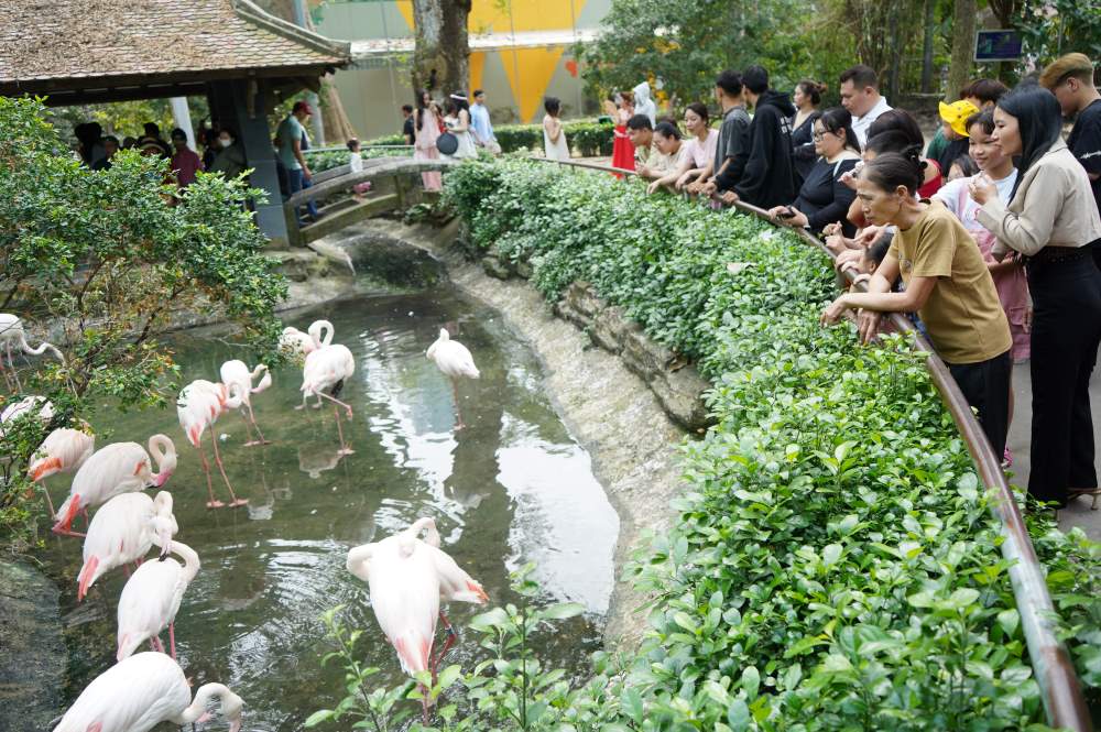 Cac diem xem thu thu hut luong nguoi den xem nhieu nhat.