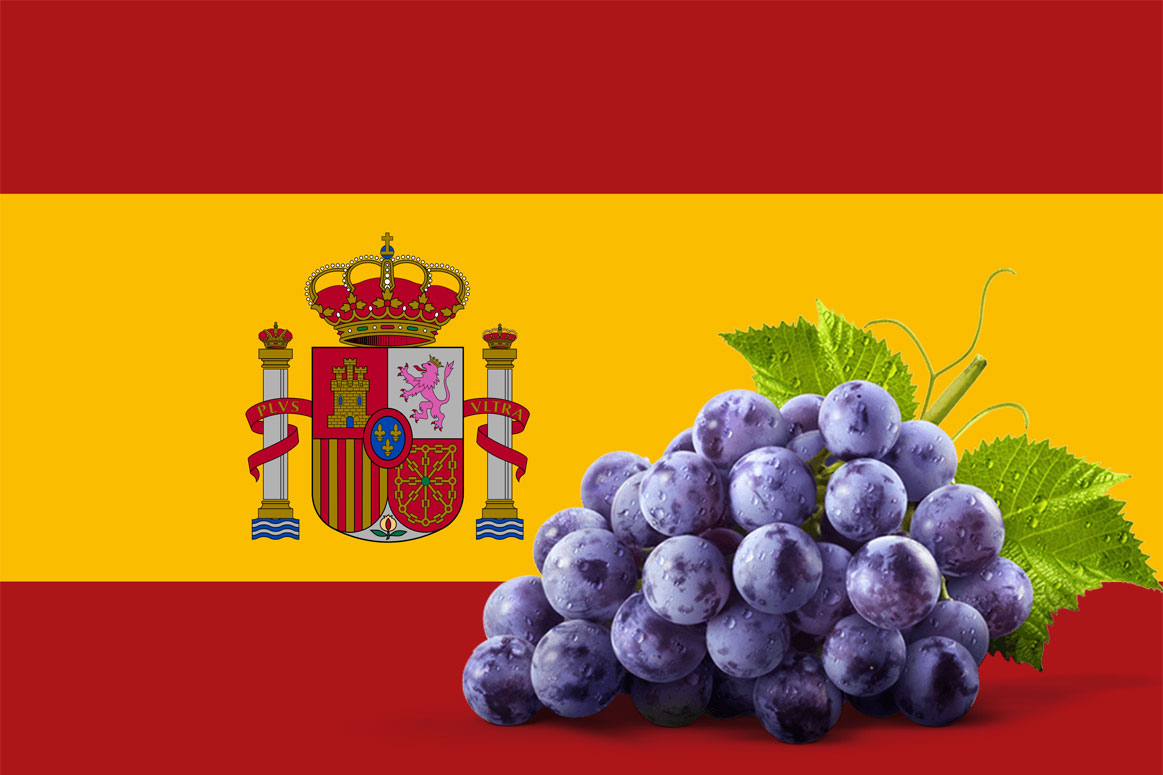 Spaniards eat grapes on New Year's for good luck. Graphics: Bui Duc