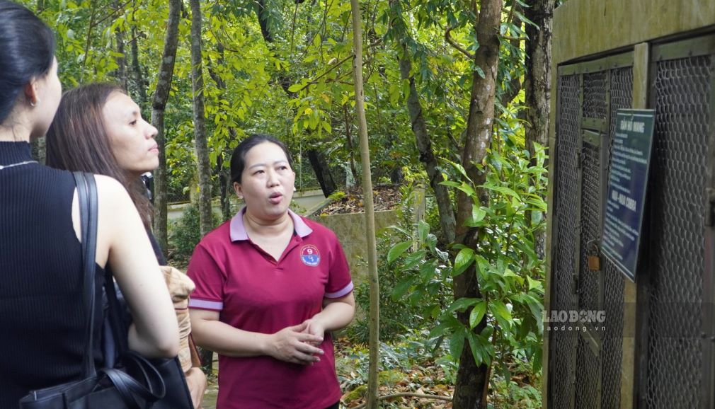 Trai ran Dong Tam 2 (chi nhanh cua Trai ran Dong Tam o Tien Giang, thuoc Cuc Hau Can - Ky thuat, Quan Khu 9) o xa Duong To, TP Phu Quoc bat dau khai thac hoi thang 6.2018.