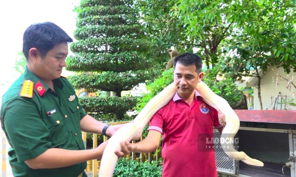 Dai uy Nguyen Tan Loc - Phu trach chi nhanh Trai ran Dong Tam 2 Phu Quoc - cho biet, hang nam trai co lien ket cac truong hoc o Phu Quoc to chuc cac buoi ngoai khoa cho hoc sinh. Nguoi dan, du khach cung se duoc huong dan nhan dang tap tinh loai ran, phong tranh, so cuu ban dau khi bi ran can; tam quan trong cua nhung loai can bao ton gene.