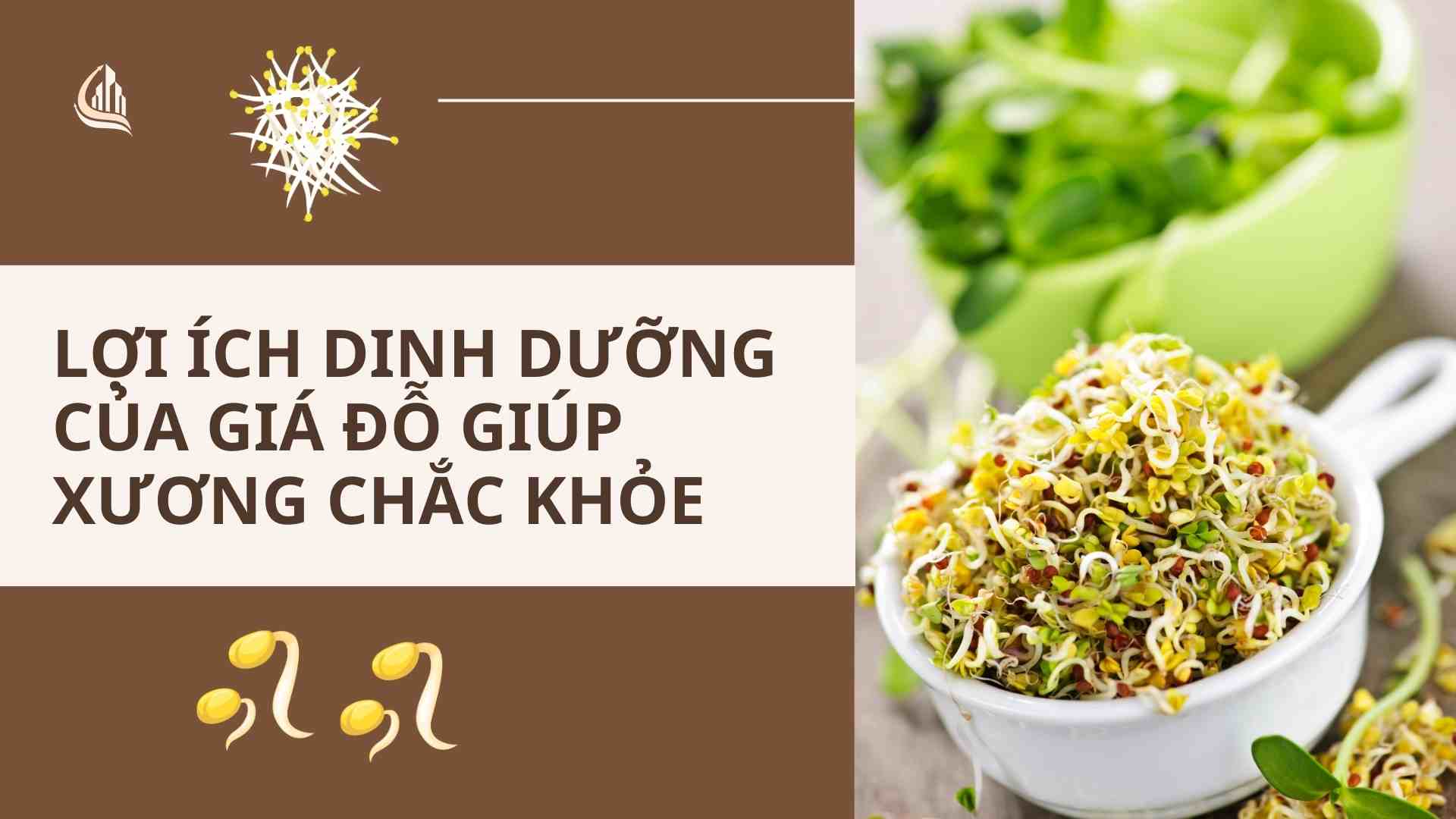 Nutritional benefits of bean sprouts help strengthen bones. Graphics: Cao Thom