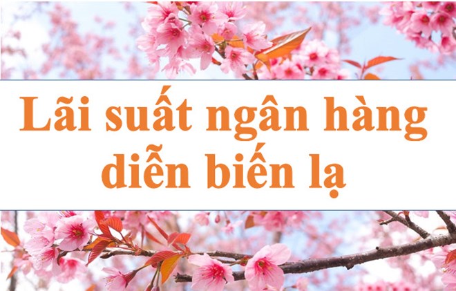 Lãi suất ngân hàng hôm nay 2.1: Diễn biến lạ trên thị trường