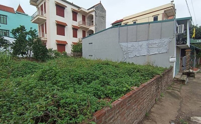 Land prices in Dong Anh district (Hanoi) are increasing rapidly. Photo: Thu Giang