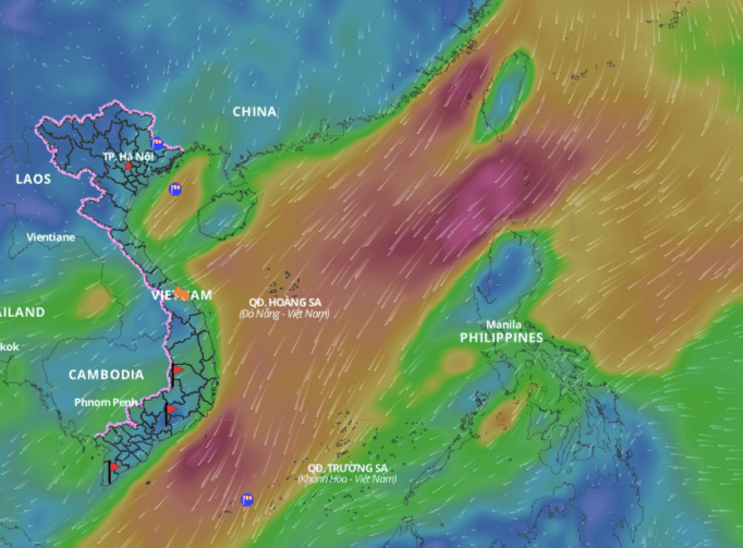 The strengthening cold air will cause bad weather in many coastal areas of the East Sea. Above is the image of the wind direction layer over the sea updated at 10:30 on January 10. Photo: Vietnam Natural Disaster Monitoring System