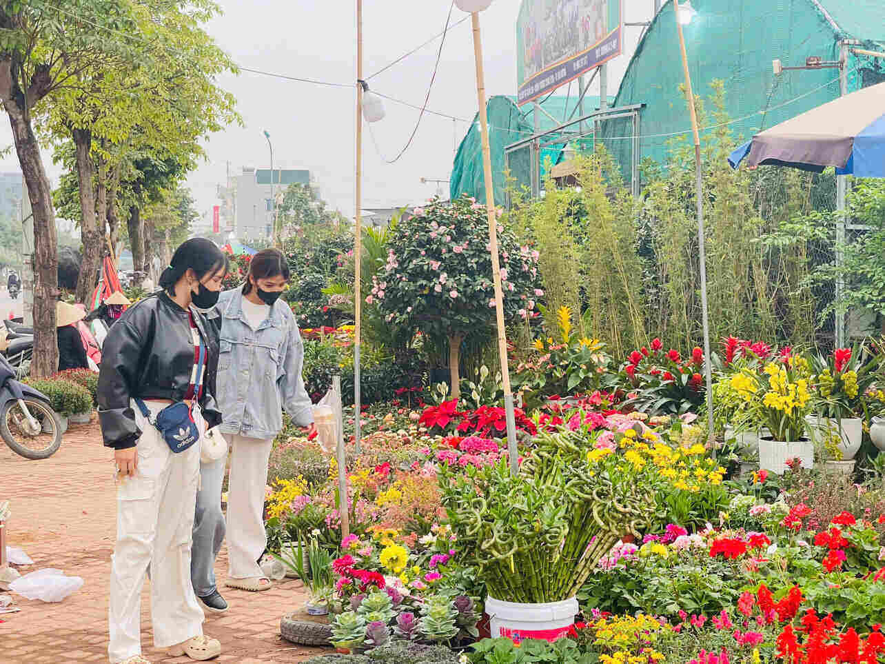 In many streets and large flower and ornamental plant markets of Hai Duong City, the atmosphere has begun to bustle with buyers and sellers. Photo: Mai Huong