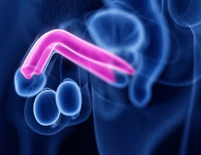 Breaking your own penis can cause serious consequences including genital trauma, long-term psychological and functional effects. Photo: BVCC