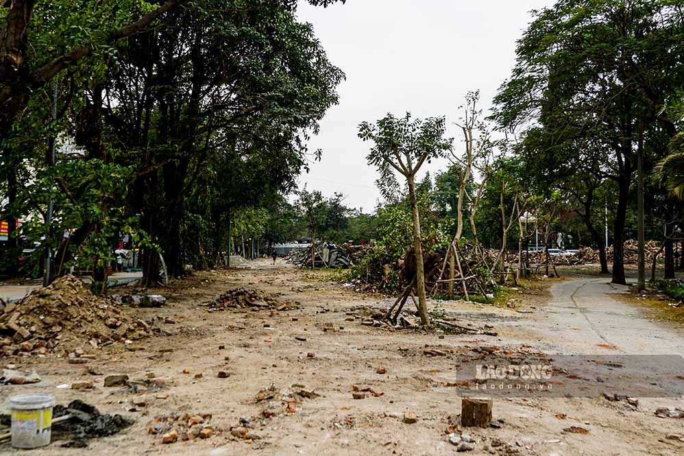 Theo quy hoach, cong vien Tuoi tre Thu do co tong dien tich la 26ha, voi tong muc dau tu tren 280 ti dong. Cong vien duoc ky vong se tro thanh la phoi xanh nham phuc vu cac hoat dong sinh hoat cong cong, vui choi cua dong dao nguoi dan Ha Noi.